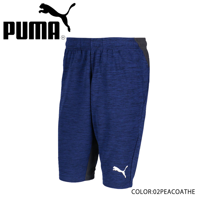 puma liga training sweat