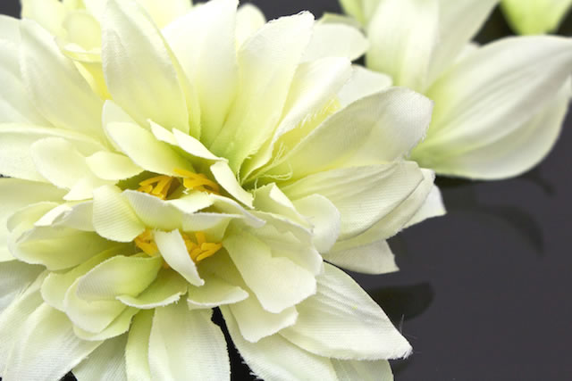 楽天市場 髪飾り 黄色 イエロー 菊 マム ダリア 花 髪留め クリップ 安全ピン 夏祭り 花火大会 浴衣用 成人式 卒業式 振袖用 あす楽対応 きもの館 創美苑