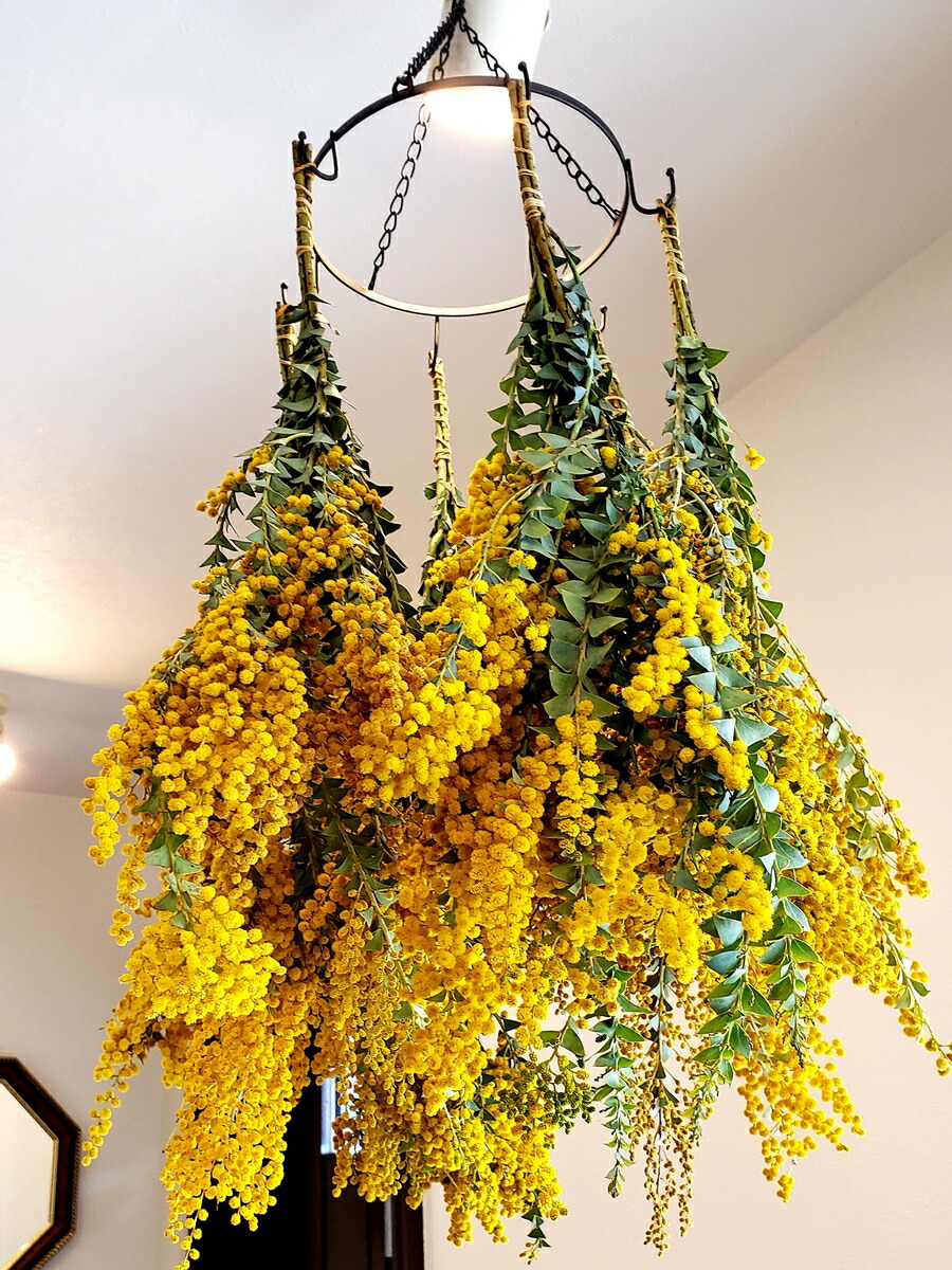 ミモザ アカシア キット ボタニカルサシェ ハーバリウム用 花材 花材 プチギフト ハンドメイド 手作りキット 送料無料 So Netmoソネトモ大容量でお届けいたします 業務用 プリザーブドフラワーお花の福袋 花材 アロマワックスバー アロマワックスバー 花 観葉植物 ミモザ アカシア キット ボタニカルサシェ ハーバリウム用 花材 花材 プチギフト ハンドメイド 手作りキット 送料無料 So Netmoソネトモ大容量でお届けいたします 業務用 プリザーブドフラワーお花の福袋 花材 アロマワックスバー アロマワックスバー 花 観葉植物