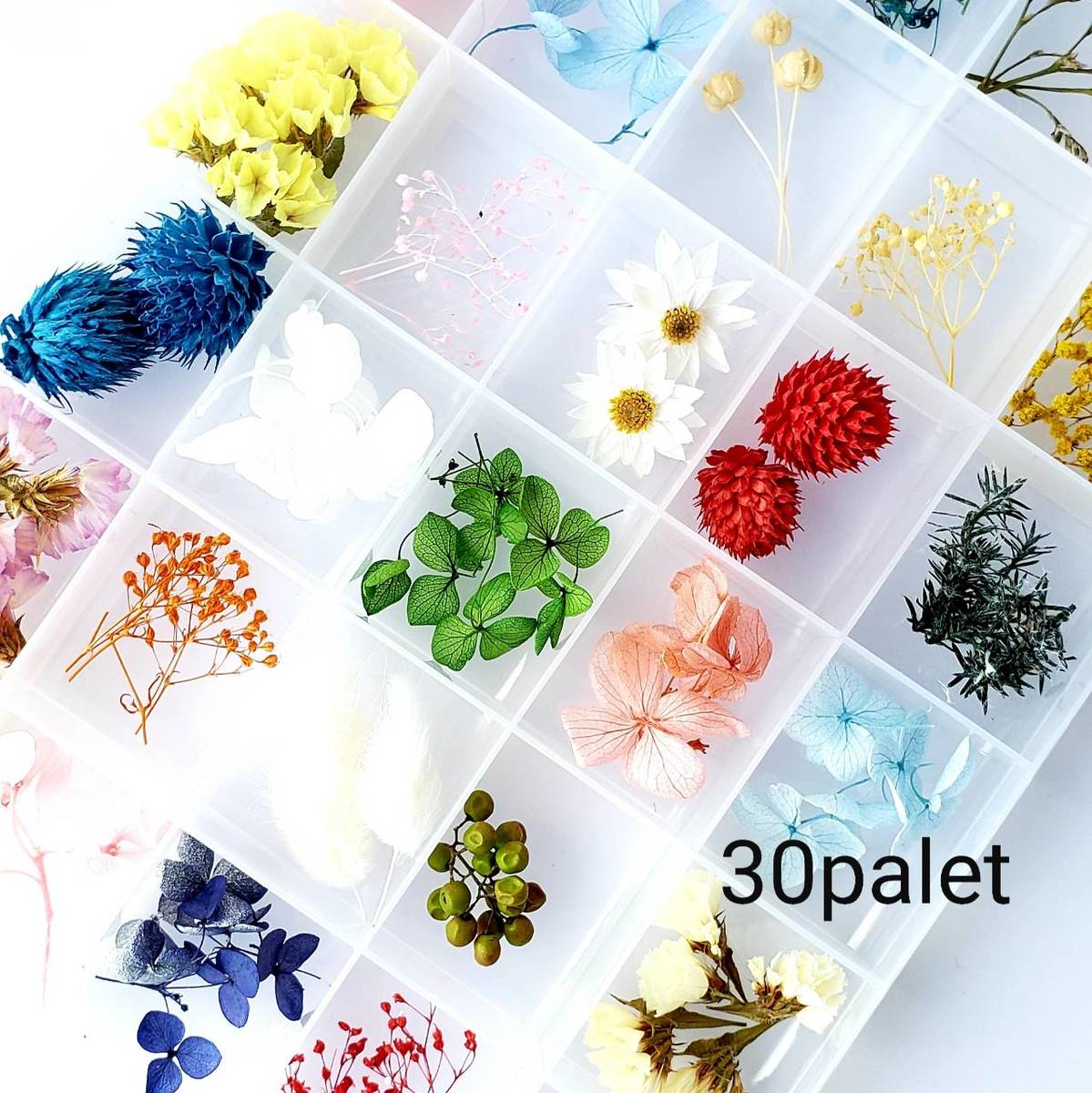 楽天市場 ハーバリウム 花材 カラーパレット バラ クリスマス ドライフラワー 材料 キット セット ピラミッドアジサイ かすみ草 大地農園 福袋 So Netmoソネトモ