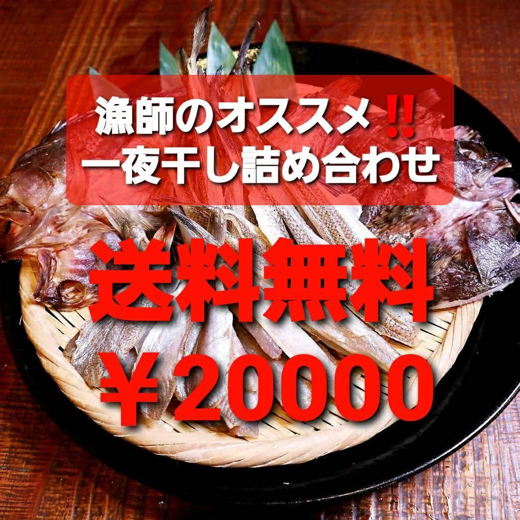 干物 一夜干し 走島産 広島 鞆の浦 漁師 新鮮 採れたて 海産物 ギフト おうち時間 おうちご飯 イカ ほごめばる タイ あこう ぐち エソ  カワハギ 【オープニング