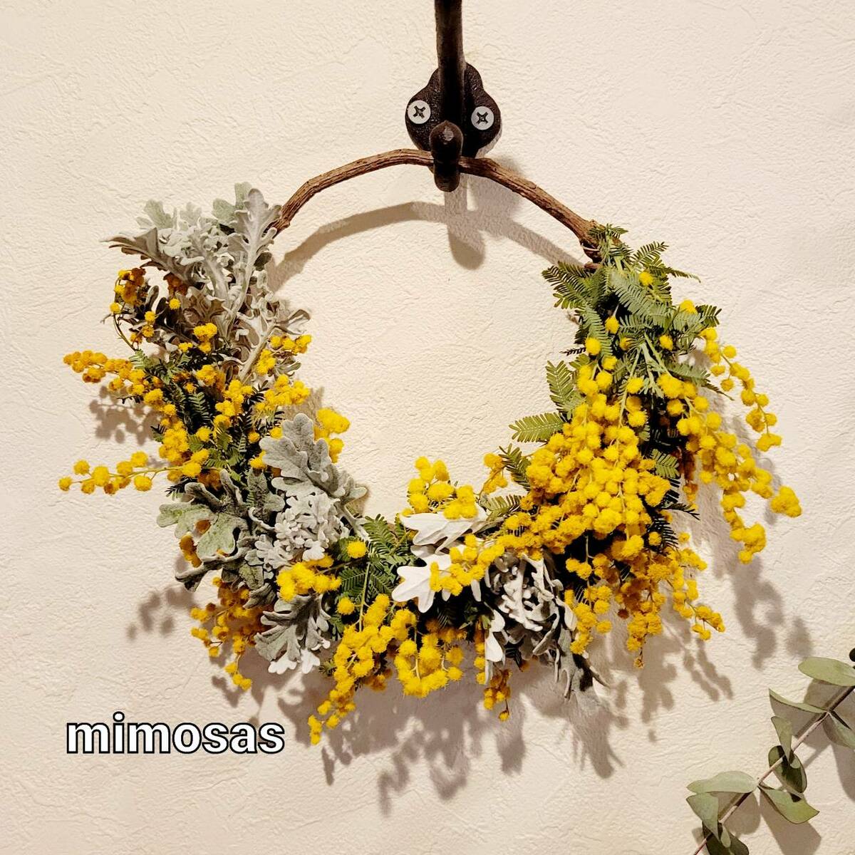 楽天市場】ミモザドライフラワーリース ドライフラワー ミモザ リース