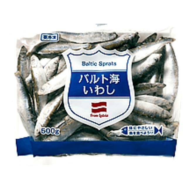 冷凍バルト海いわし　500g　冷凍便になります 備蓄 レストラン  ホテル  業務用