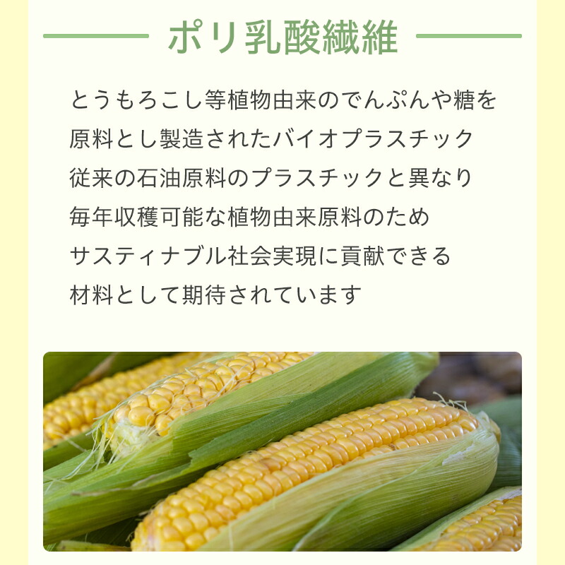 【とうもろこし由来 泡立てネット 】 泡立て 生分解性 環境配慮商品 石けん収納 吊るすタイプ ポリ乳酸 濃密泡 きめ細かな泡 もっちり泡 簡単 日本製 植物由来 自然に還る