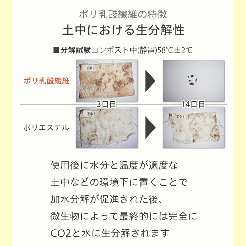 【とうもろこし由来 泡立てネット 】 泡立て 生分解性 環境配慮商品 石けん収納 吊るすタイプ ポリ乳酸 濃密泡 きめ細かな泡 もっちり泡 簡単 日本製 植物由来 自然に還る