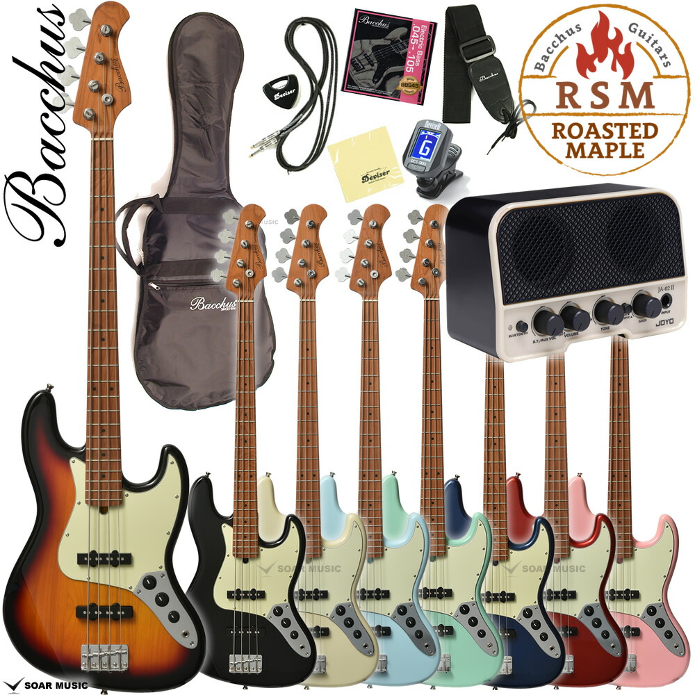 Bacchus ベース　ハードケース、シールド付 Bacchus ベース ハードケース、シールド付 Bacchus ジャズベース