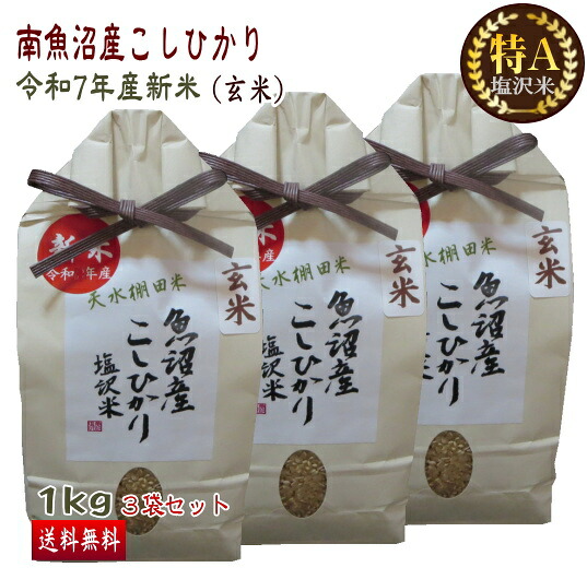 南魚沼産 コシヒカリ 1kg 3袋セット 玄米 塩沢米 産地直送 送料無料 特A米 令和7年産 新米 こしひかり 新潟 魚沼産 一等米