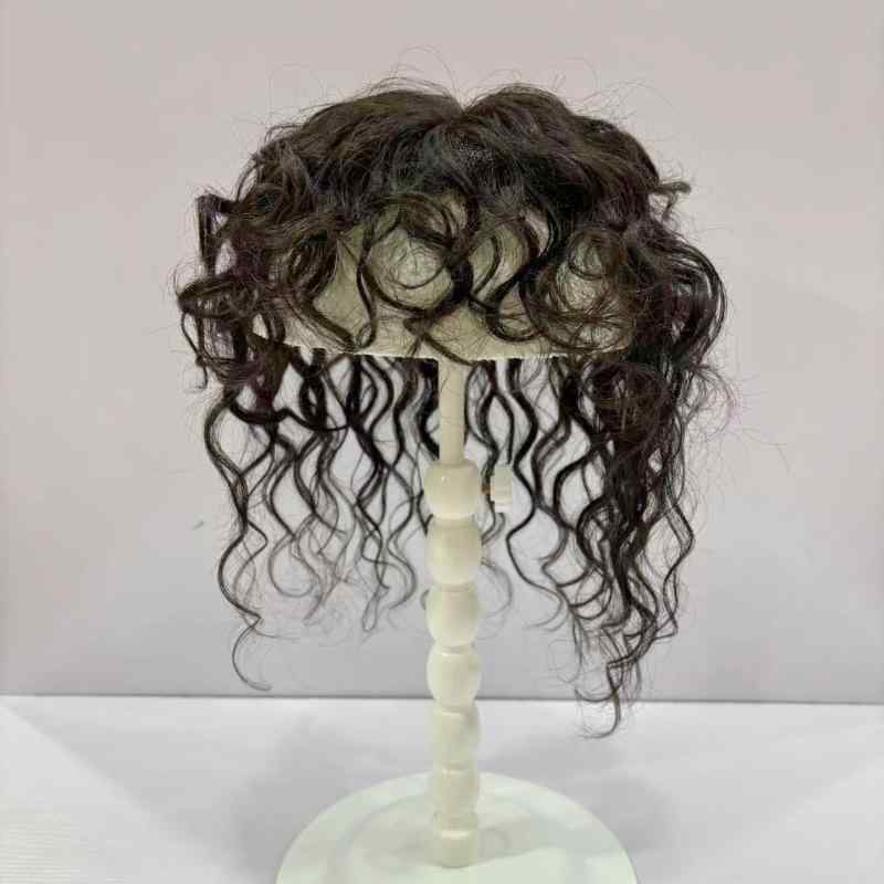ヘアピース レディース 真人髪 手織り 巻き髪 白髪カバー トッピング フルヘッド 25cm 自然黒 ダークブラウン 深栗 オールシーズン 普段使い かわいい スタイリッシュ 5,419円