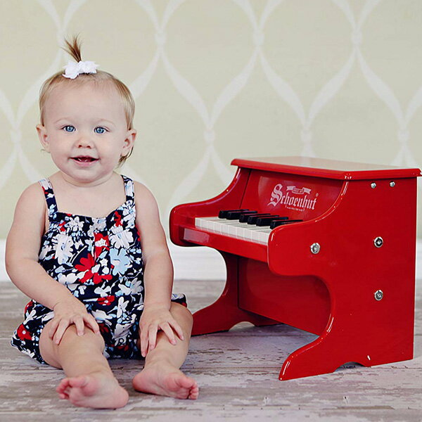 楽天市場】Schoenhut シェーンハット 25Key トイピアノ My First Piano
