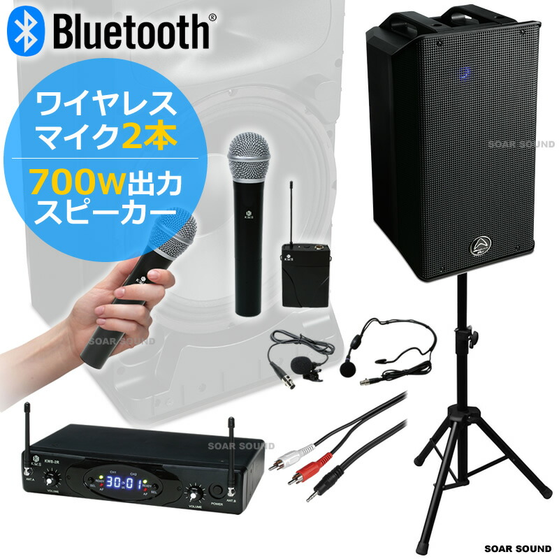 Elegiant ワイヤレスマイクシステム 2本セット ELEGIANT ワイヤレスマイク2本セットの通販 by MJ's shop｜ラクマ
