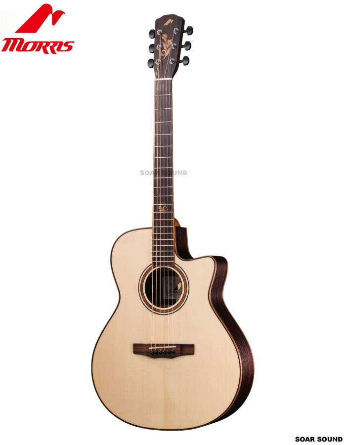 楽天市場】プレゼント付き！Morrisモーリス/アコースティックギター