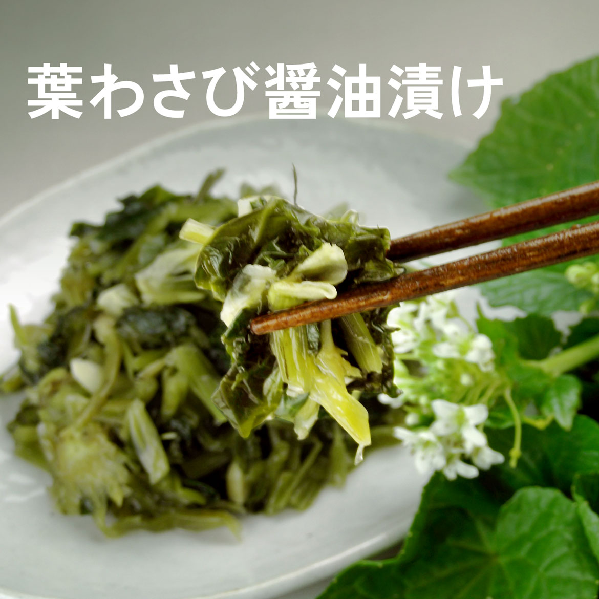 楽天市場】信州安曇野「わさび漬」80g 本生わさび使用 ギフト お
