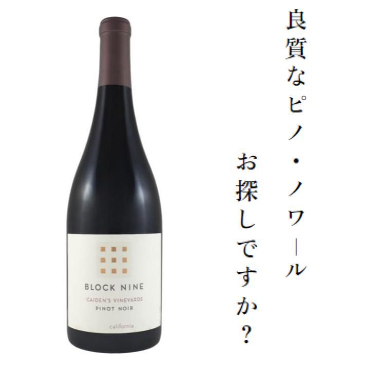 楽天市場】ガンテンバイン ピノノワール[2015] Gantenbein Pinot Noir