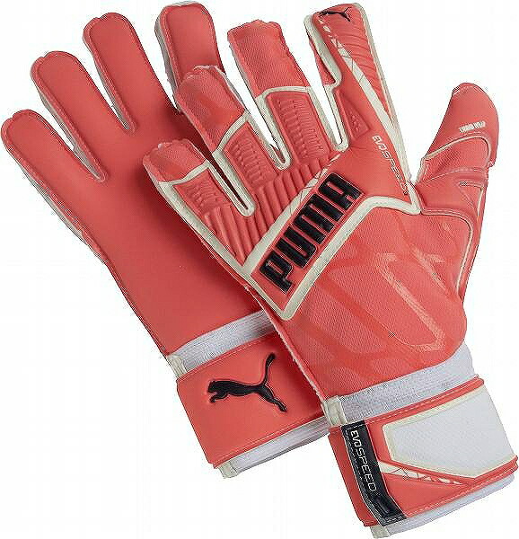 楽天市場】【PUMAプーマ キーパーグローブ】エヴォパワー1.3 グリップ