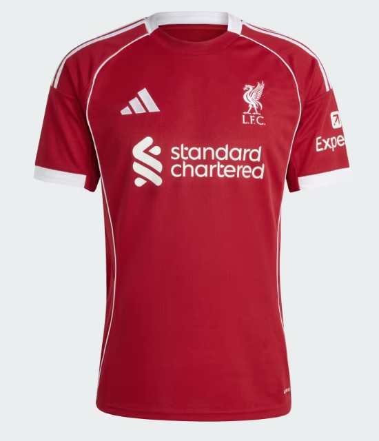 楽天市場】【11/14 20時から11/16までポイント15倍】ジュニア