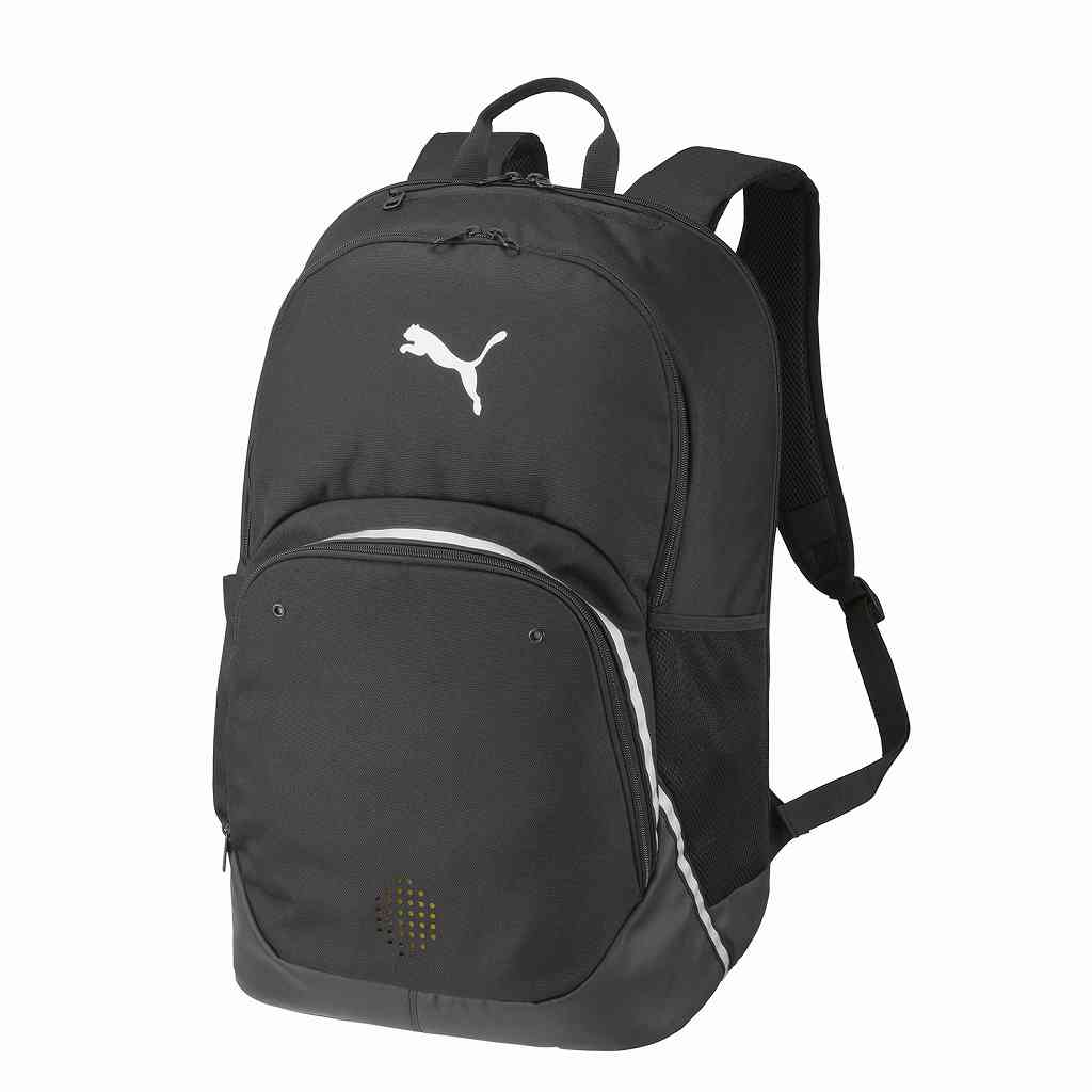 ピューマ PMJ-091600-01 01 TEAMFINAL うしろ側容器に並べる II 45L (01)PUMA Black-PUMA Navy メンズ・ユニ一発やる