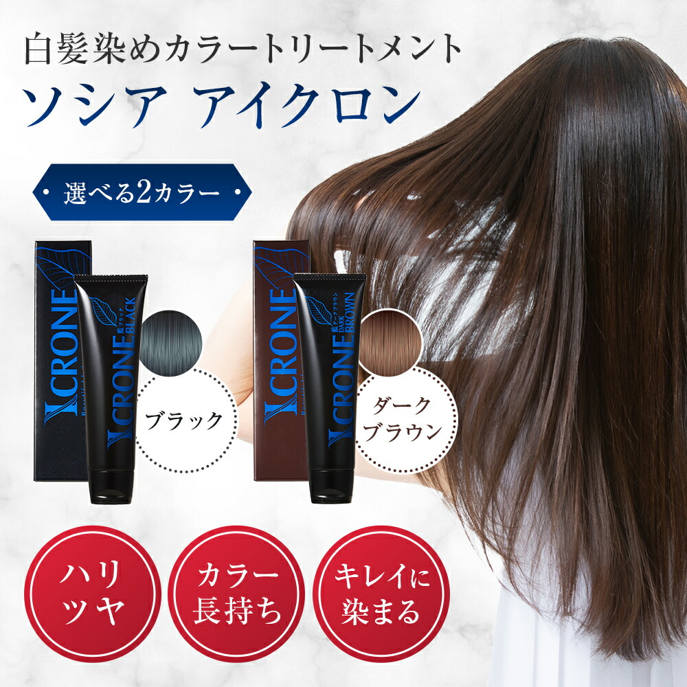 【公式】ソシア アイクロン 1本 85g 定期コース 40%OFF | 日本製 白髪染め ヘアカラー トリートメント ブラック グローリン 女性用 女性 男性用 男性 メンズ ヘアカラートリートメント 白髪ケア 髪染め 白髪隠し ヘアーカラー 黒 茶 カラー 白髪 カラー剤 ヘアケア 黒染め 全国送料込