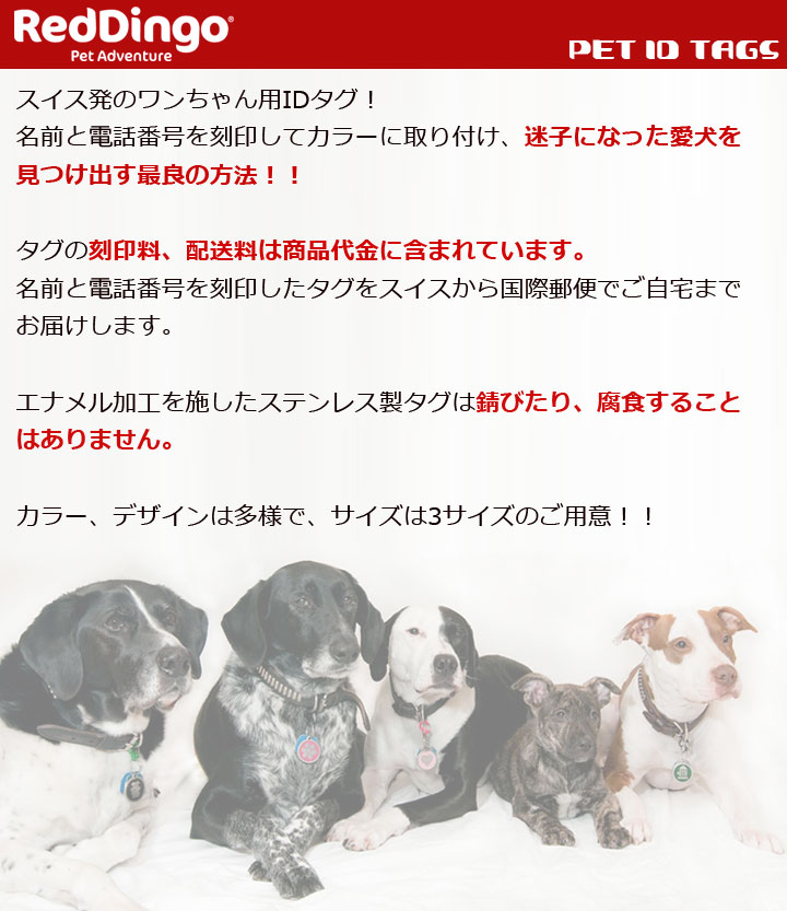 楽天市場 Red Dingo レッドディンゴ Pet Id s ハートキラキラ ペット用 犬用 刻印入り Idタグ ネームタグ ソサイアティ ソル０３