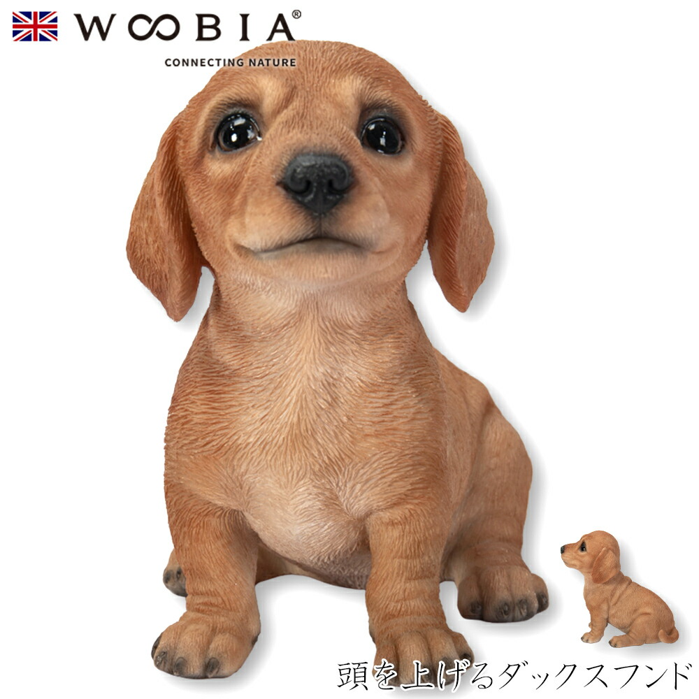 置物 オブジェ ダックスフンド イヌ ゴールド アンティーク AN-5466 ダックスフンド 置物のおすすめ人気商品一覧 通販 - Yahoo