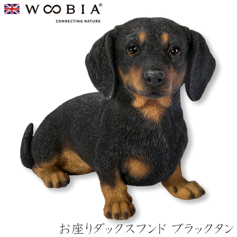 楽天市場】犬の置物 ミニチュアダックスフンド N15381 黒