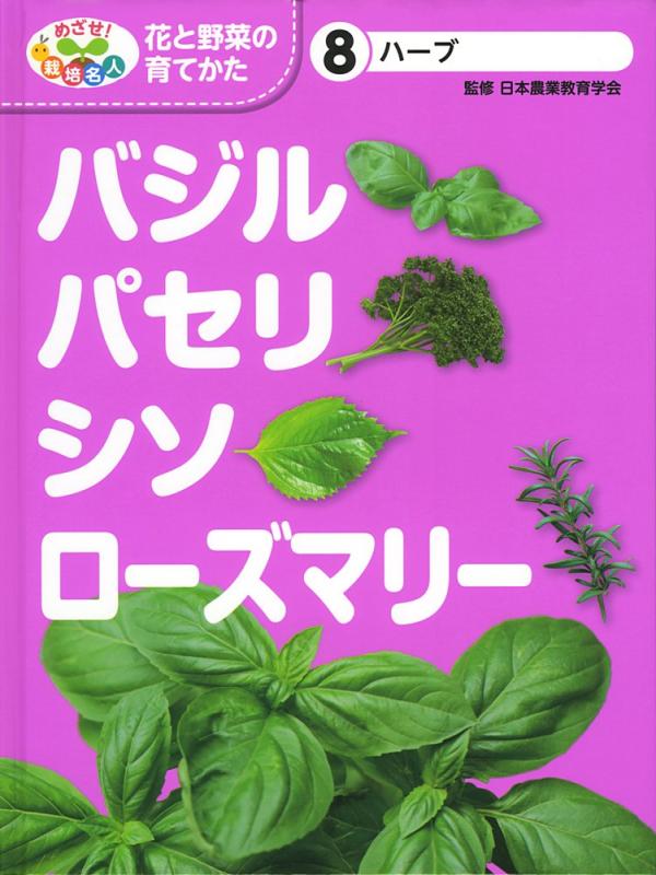 【中古】ハーブ バジル・パセリ・シソ・ローズマリー｜ソファポテト