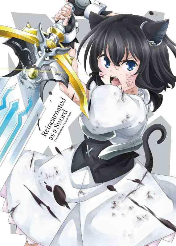 【中古】転生したら剣でした Blu-ray Vol.2 [Blu-Ray]