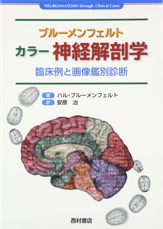 【中古】ブルーメンフェルトカラー神経生体解剖学: 臨床例とすがた絵聞き分け読み合わせる