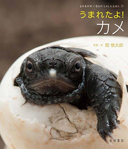 【中古】よみきかせ いきものしゃしんえほん (25) うまれたよ カメ 7,561円