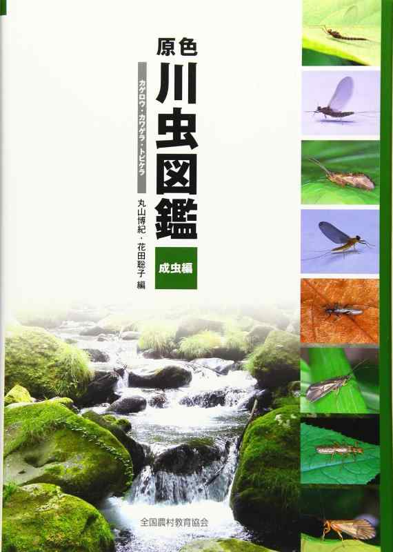 【中古】原色川虫図鑑 成虫編: カゲロウ・カワゲラ・トビケラ