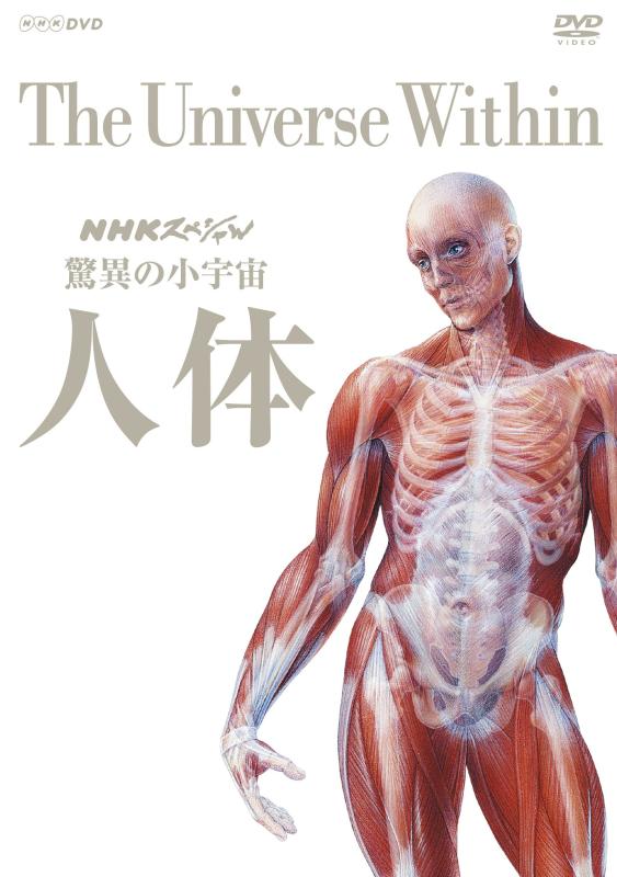 【中古】NHKスペシャル 驚異の小宇宙 人体 DVD BOX (新価格)|ソファポテト