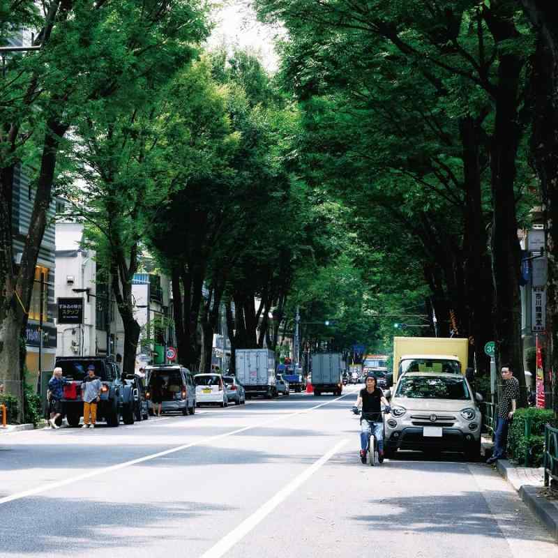 【中古】The Ordinary Road (初回盤B) - ストレイテナー (BLU-RAY付)