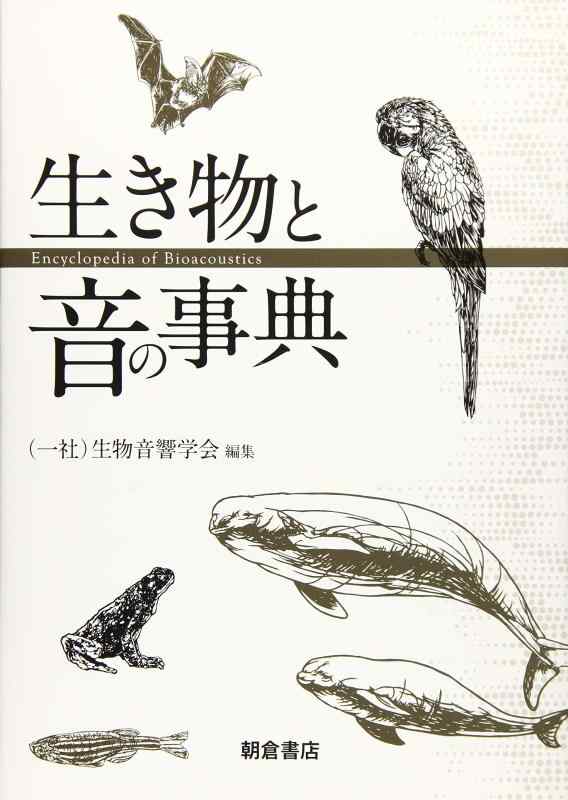 【中古】毛の荒物と音の字引き
