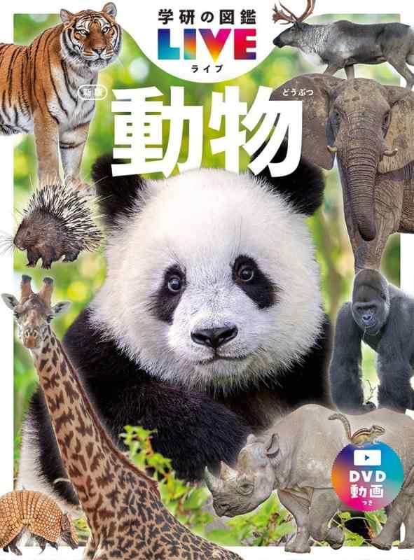 【中古】動物 新版