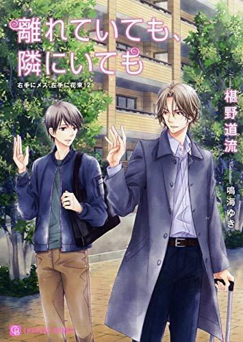 【中古】右手にメス、左手に花束 シリーズ ライトノベル 1-12巻セット