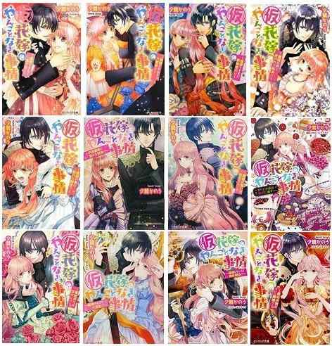 【中古】(仮)花嫁御寮のやんごとなき訳合い 寄託図書館 1-12巻仕掛ける (ビーズ当用日記寄託図書館)