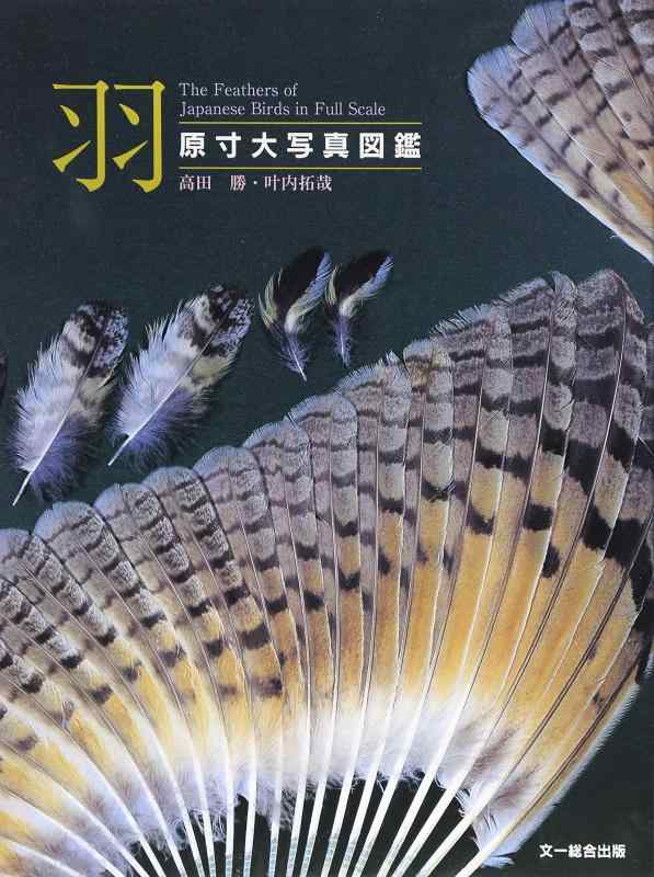 【中古】羽: 原寸大写真図鑑 23,319円