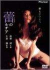 【中古】蕾のルチア [DVD]