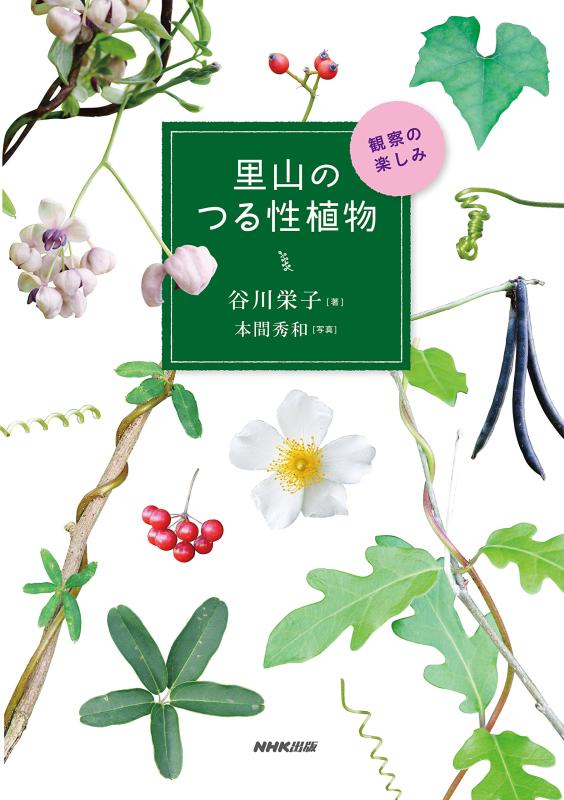 【中古】里山のつる性植物 観察の楽しみ