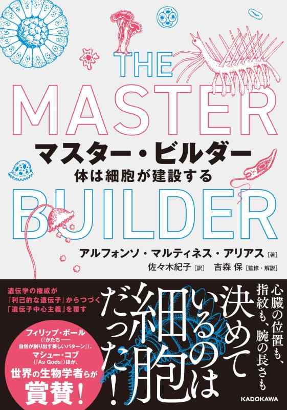 【中古】マスター・ビルダー 体は細胞が建設する