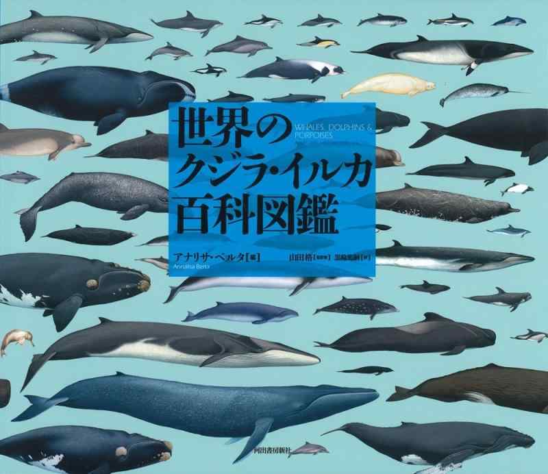 【中古】世界のクジラ・イルカ百科図鑑|ソファポテト