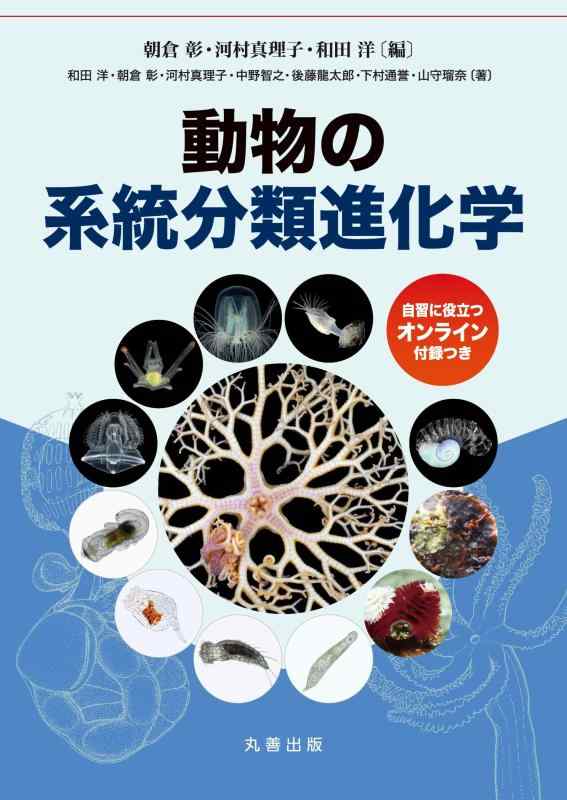 【中古】動物の系統分類進化学｜ソファポテト
