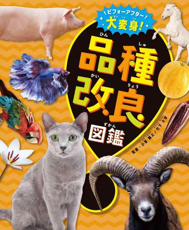 【中古】ビフォーアフター大変身 品種改良図鑑