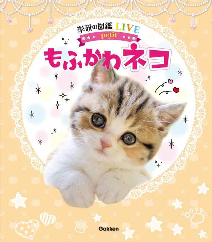 【中古】もふかわ ネコ