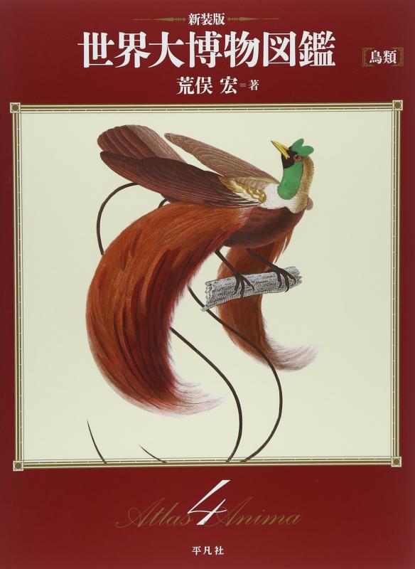 【中古】禽鳥