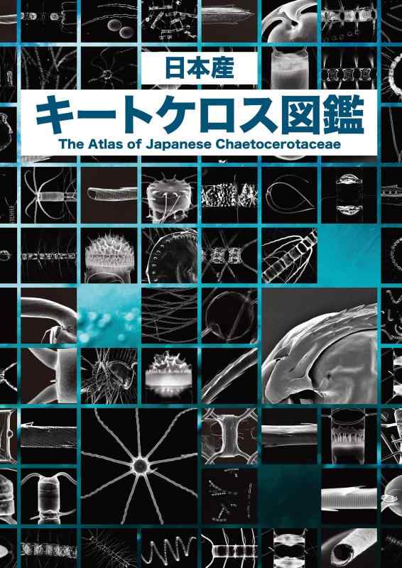 【中古】日本産 キートケロス図鑑: 地球で最もCO2を吸っているのは誰だ?