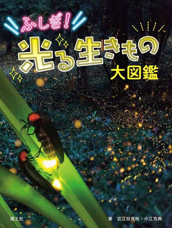 【中古】ふしぎ光る生きもの大図鑑