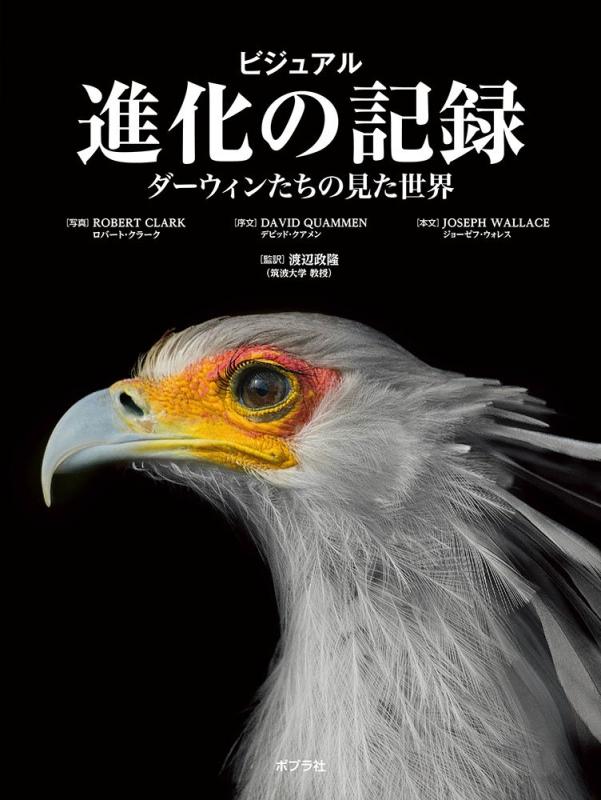 【中古】視覚性 生い育つの書きとどめる: ダーウィンたちの見た社会 日用品雑貨・文房具・手芸-その他