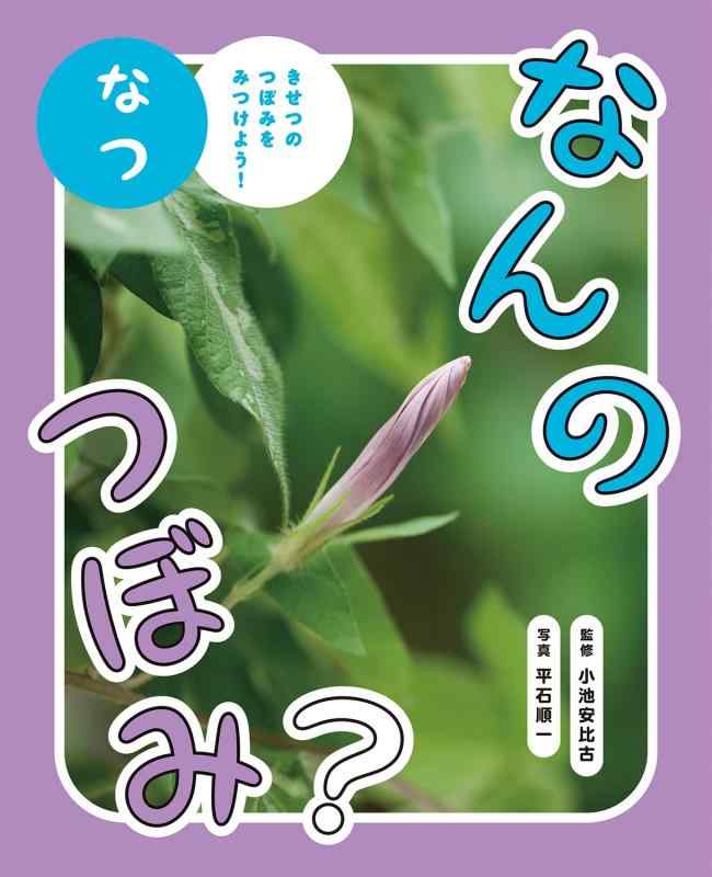 【中古】なんの莟? なつ