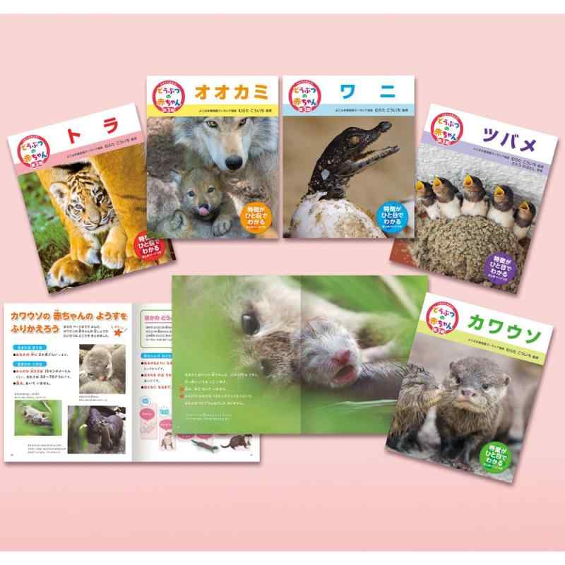 【中古】くらべてみようどう殴り付けるの乳飲み子 第３期（全５巻）