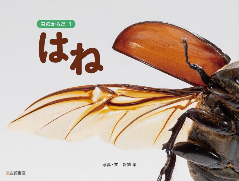 【中古】はね (虫のからだ 1)
